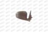 PRASCO RG4207113 Outside Mirror